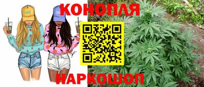прущие грибы Заволжье