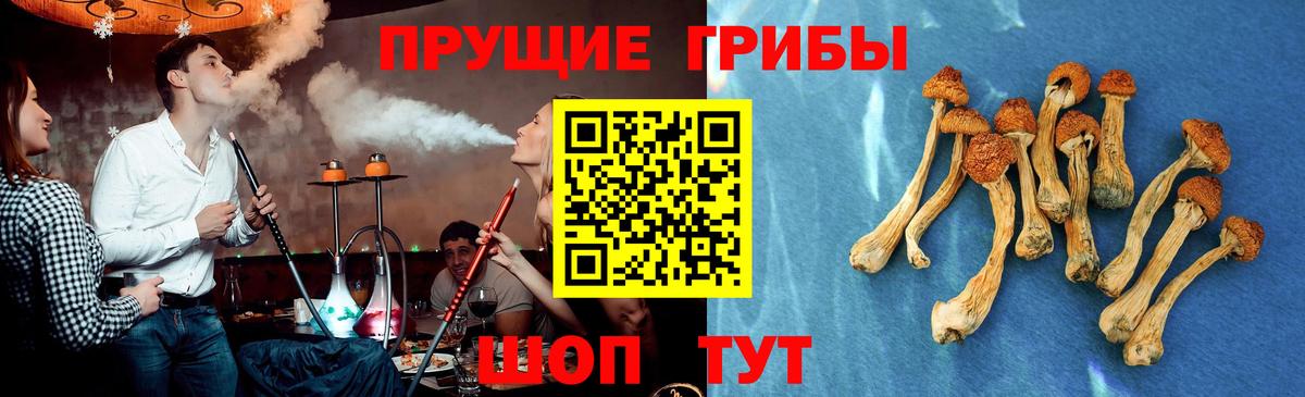 Псилоцибиновые грибы мицелий  даркнет сайт  Лесозаводск  Вход с VPN 